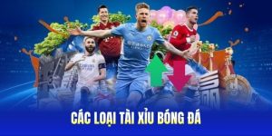 Các Loại Tài Xỉu Bóng Đá